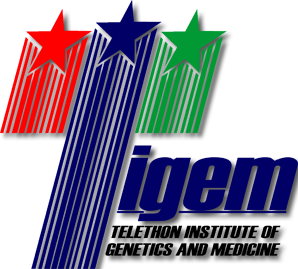 Tigem Logo